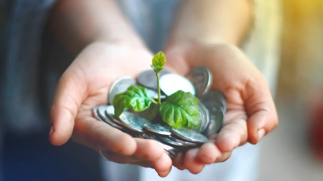 Emprendimiento sostenible: el negocio que transformará el futuro
